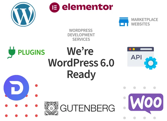 WordPress Developers